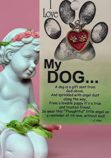 I Love My Dog Angel Brooch image 0